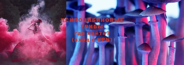 ALPHA PVP Богданович