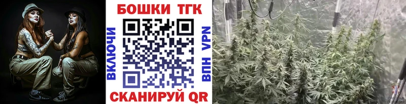 Конопля планчик  Купить закладки  Ядрин 